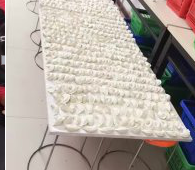 冬至來臨，公司員工一起來包＂扁食＂